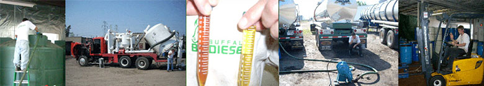 Biodiesel is the name of a clean burning alternative fuel produced from domestic, renewable resources.